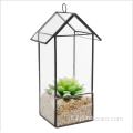 Terrario geometrico in vetro con pianta d&#39;aria fatta in casa